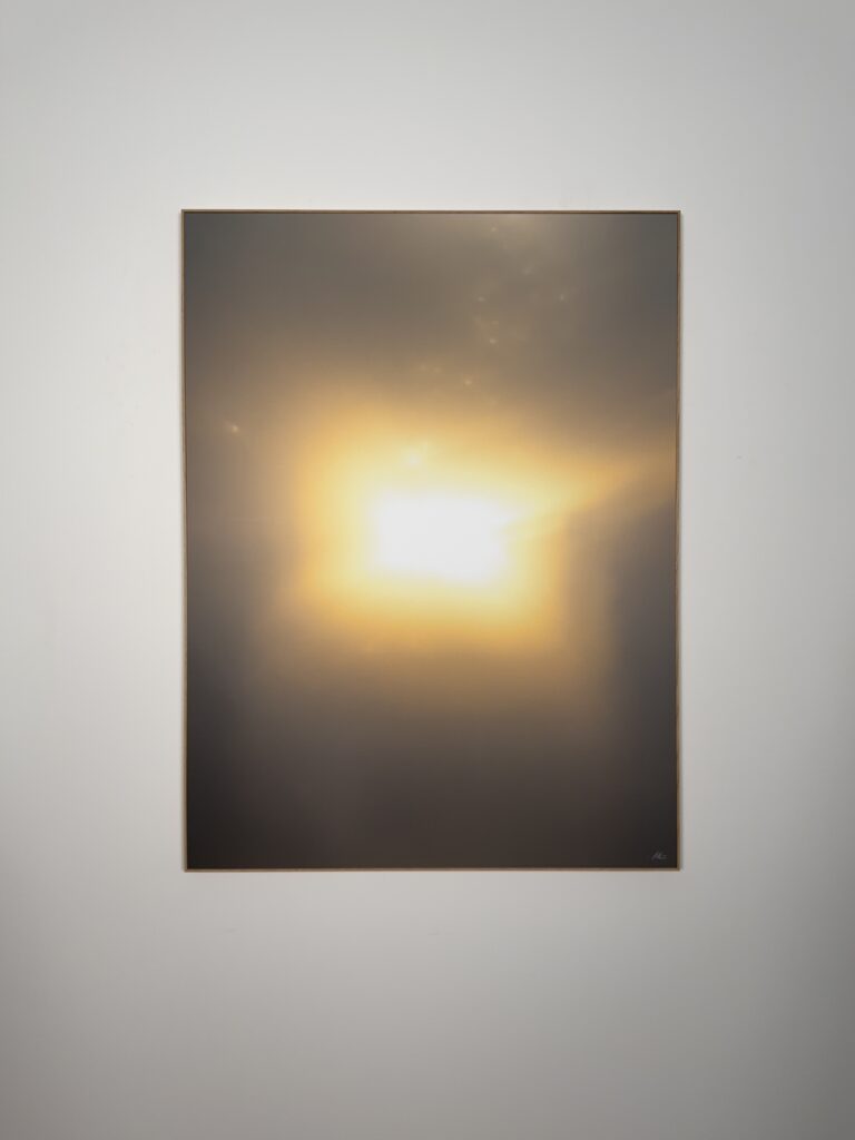 Ulrike Pichl photography