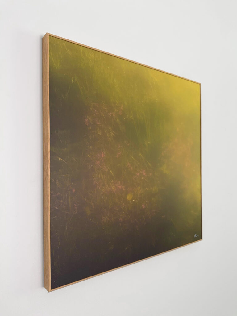 Ulrike Pichl photography